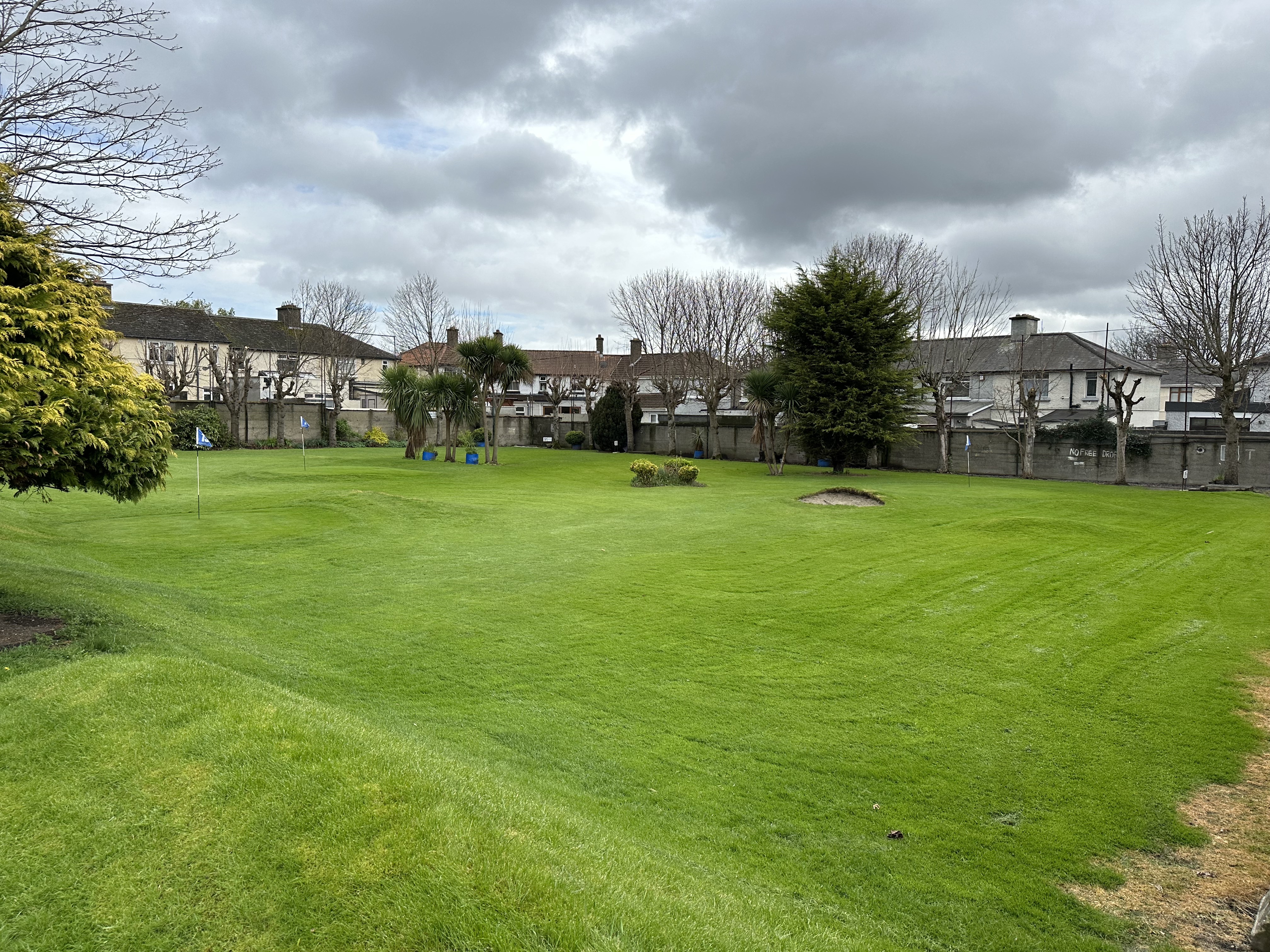 Fairview C.Y.
