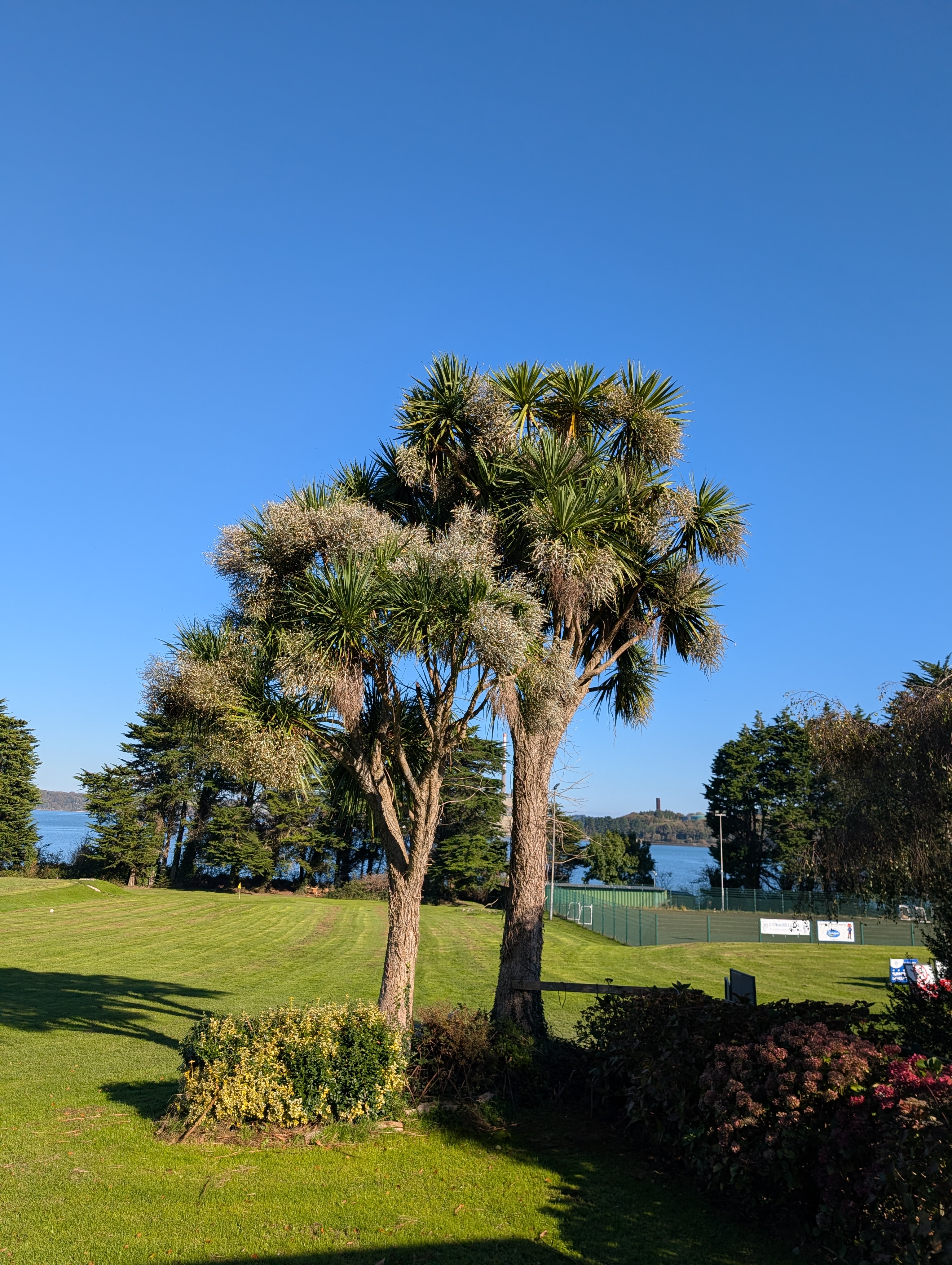 Fine Sunday Morning In October