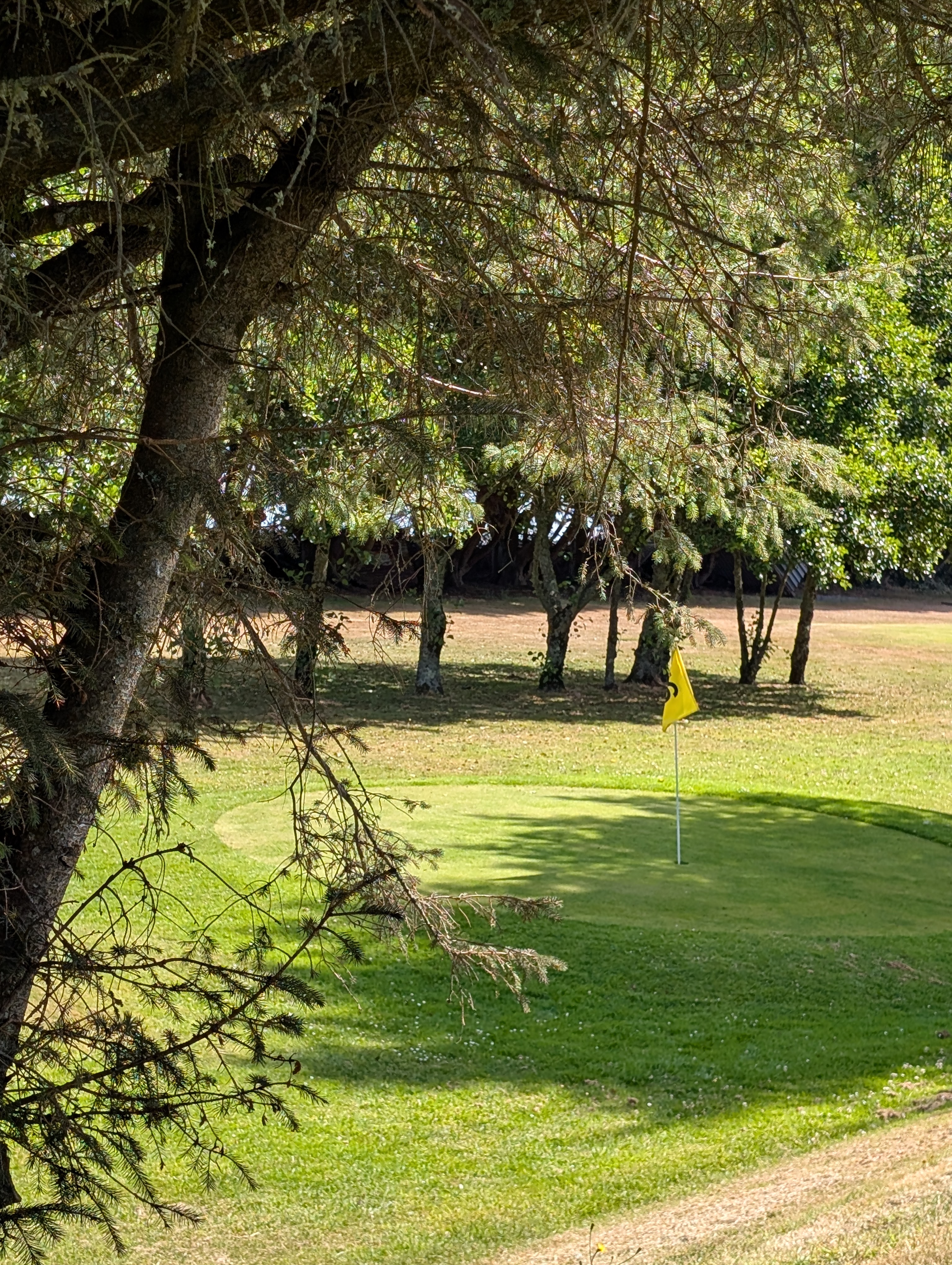 16th Green - 19th July 2026