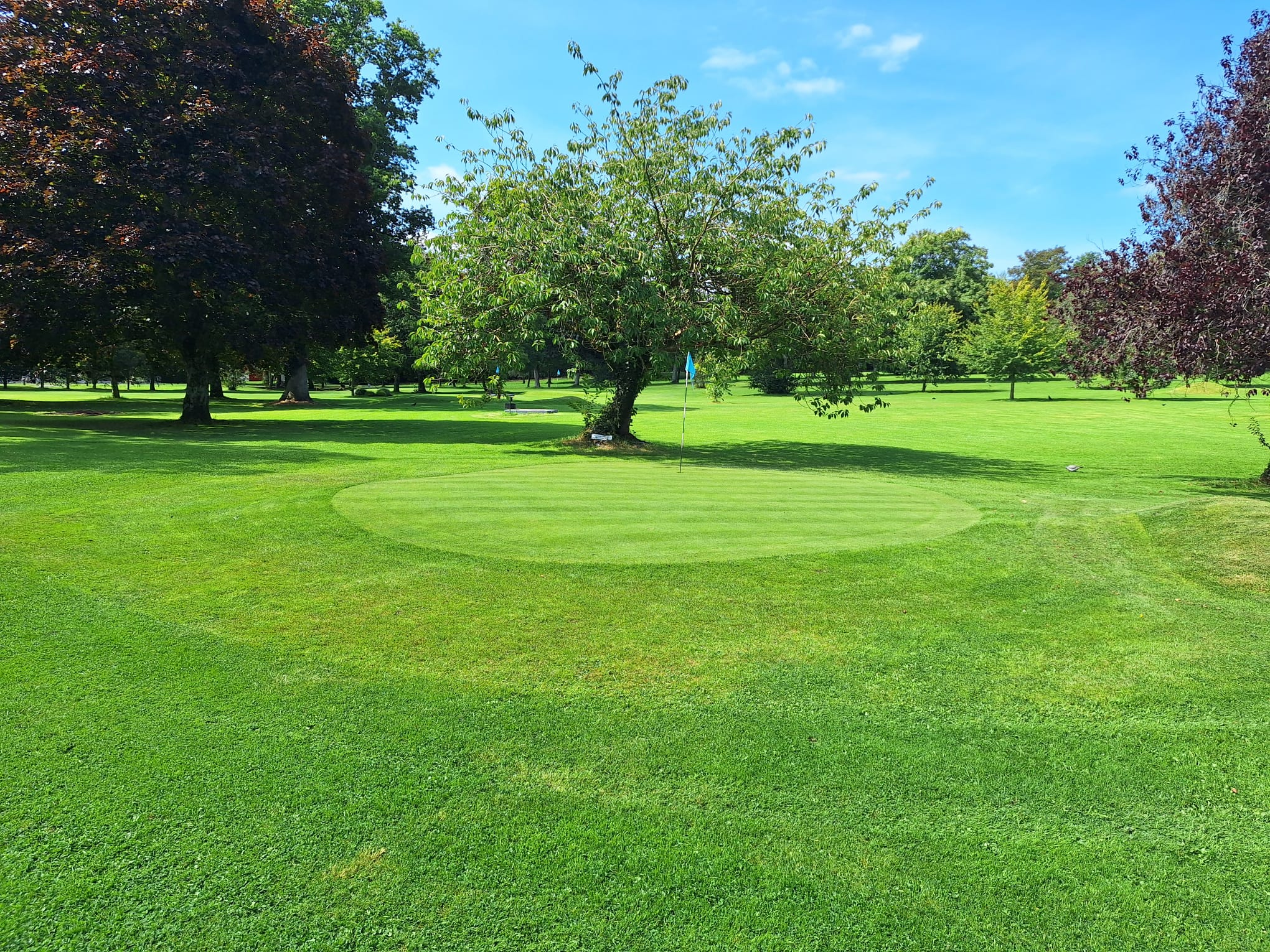 Kerry county match play 2025