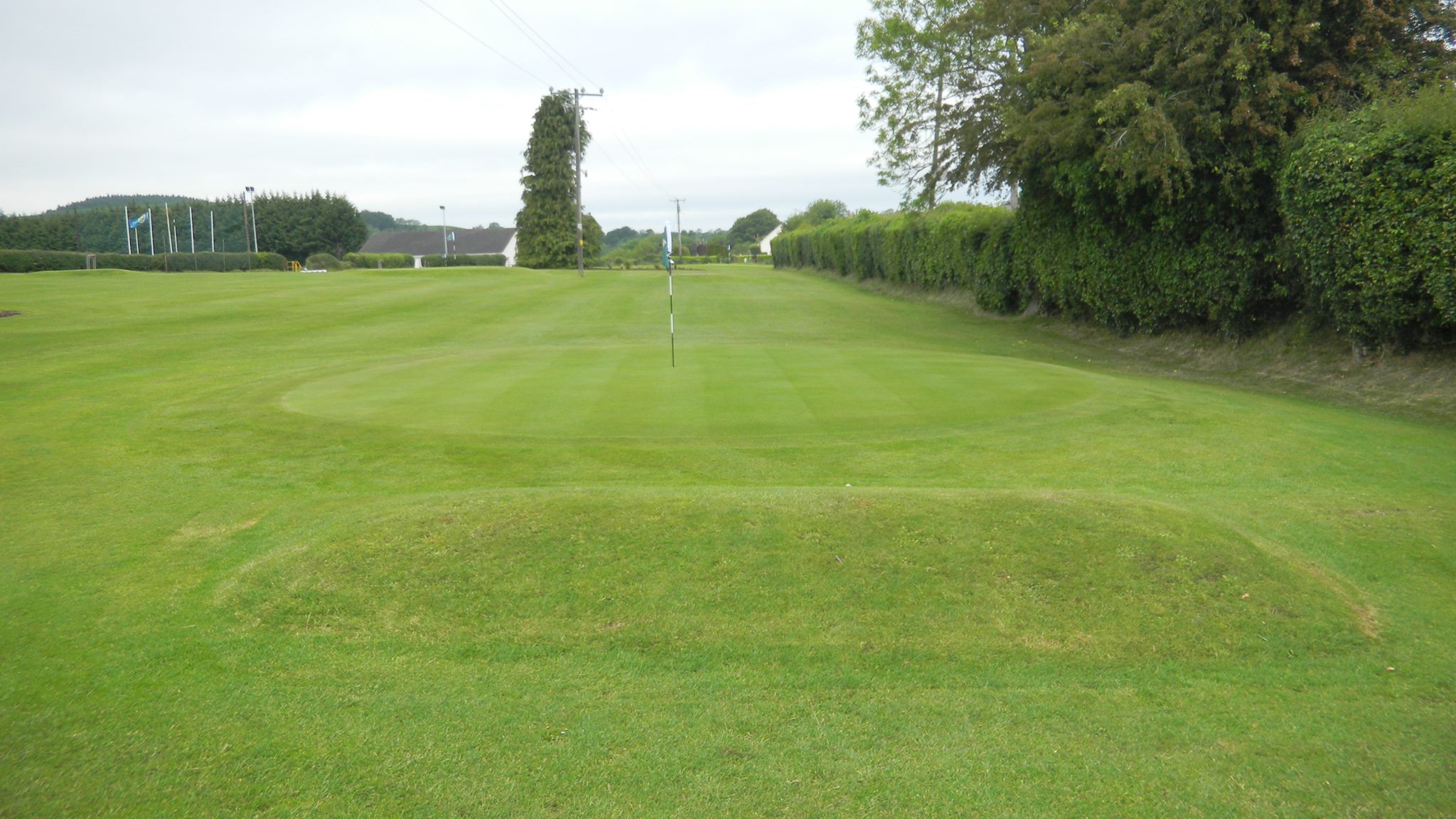 Collinstown